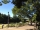 hibiya park